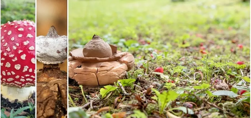 © Naomi Chapple-Parry © Dave Winnard